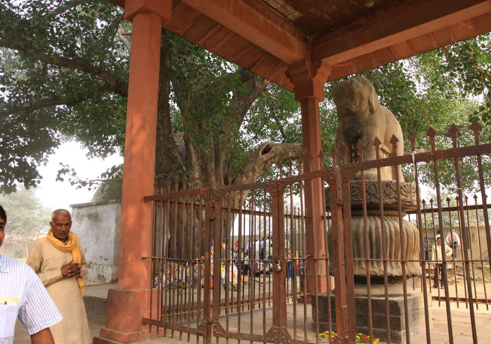 Buddha Tours