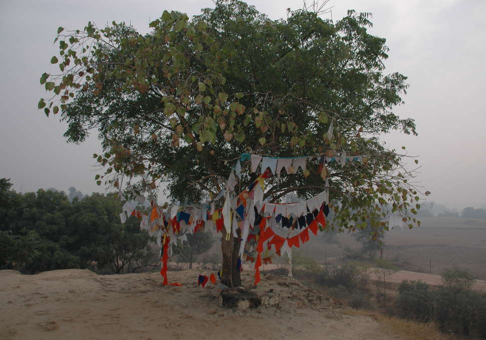 Buddha Tours